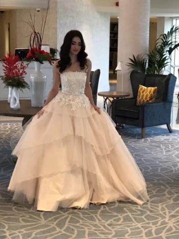 Thai Silk Applique Lace Silk Organza