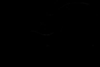 VEL-BLACK